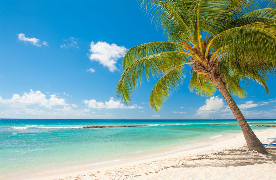St Kitts & Nevis Holidays 2024/2025 | Trailfinders