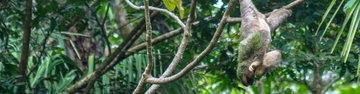 Best of Central America