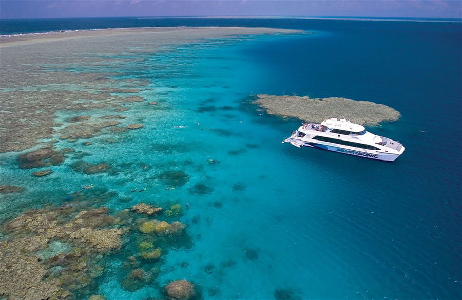 Silversonic Snorkel Adventure, Northern Great Barrier Reef