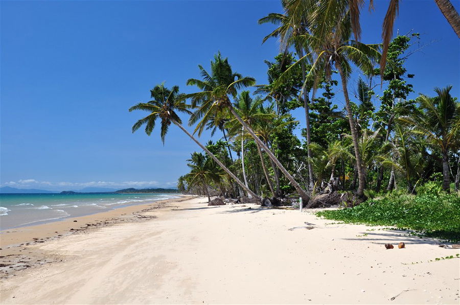 White sand and palm trees at Mission Beach in Queensland, Australia