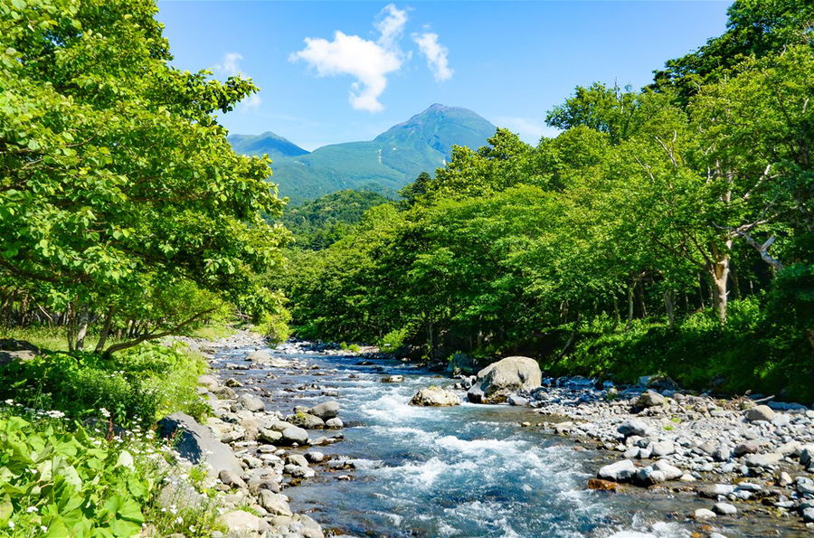 Iwaobetsu River in Shiretoko in Summer, Hokkaido, Japan