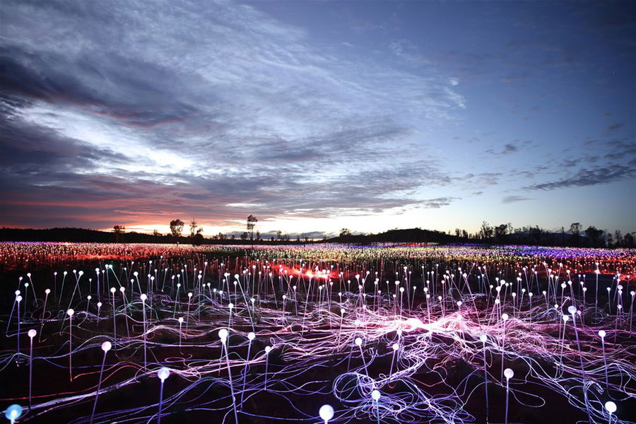 1. Field of Light