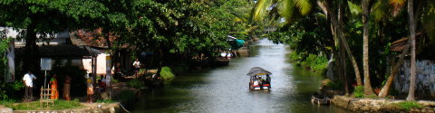Premium South India