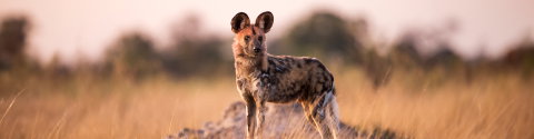 Explore Southern Africa
