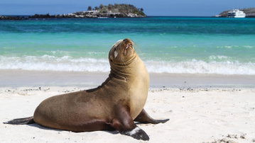 Galapagos - North, West & Central Islands aboard the Yolita