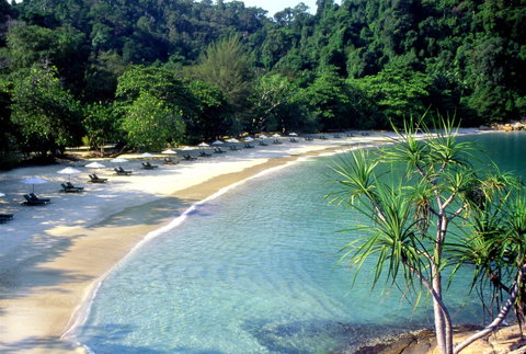Experience the Magic of Malaysia