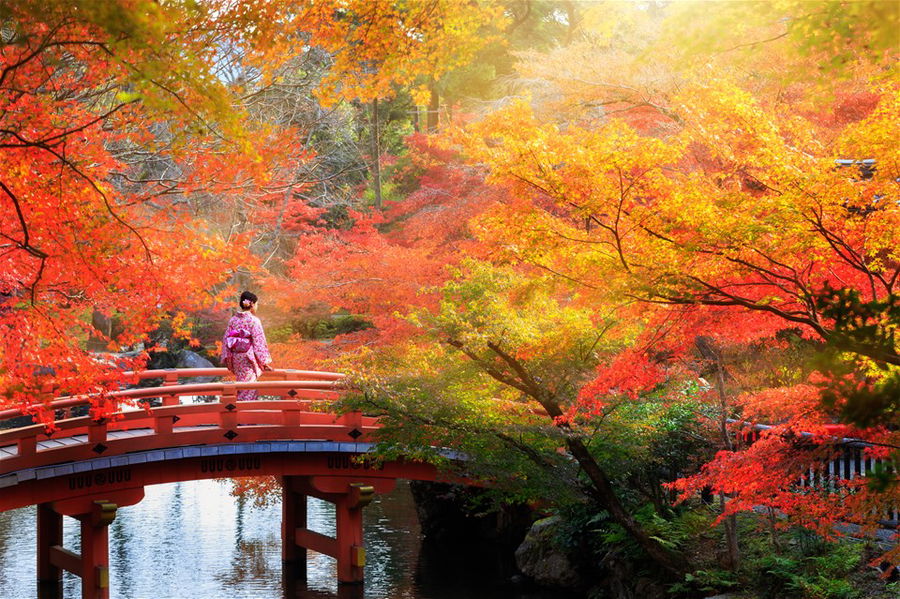 Geisha on a bridge surrounded by autumn trees, in Kyoto, Japan