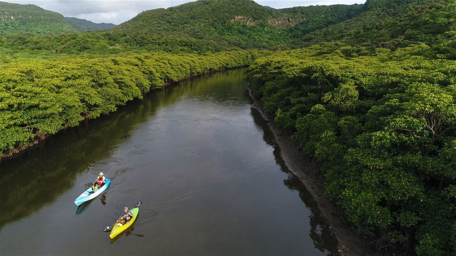 Kayaking in Okinawa, Japan