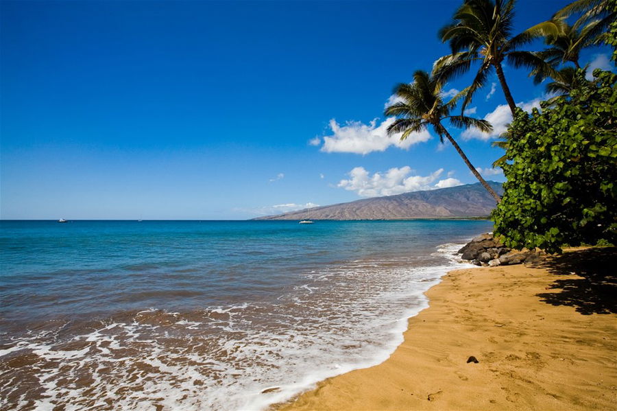 Waves lap a golden sandy beach in Hawaii