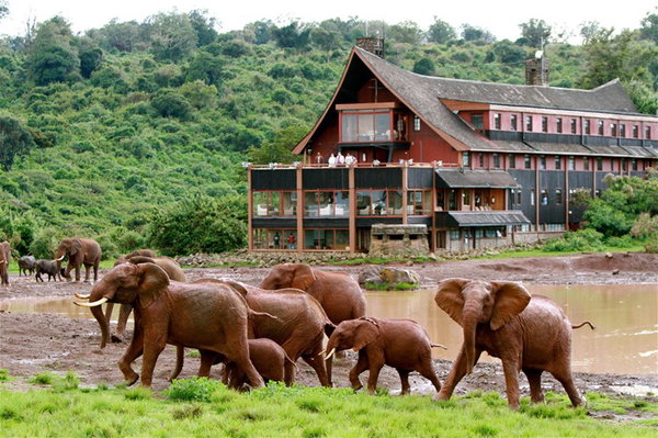 The Ark, Aberdare National Park
