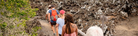 Best of Galapagos