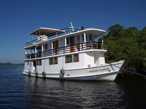Amazon Clipper Traditional