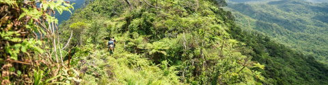 Fiji: Hike, Raft & Snorkel