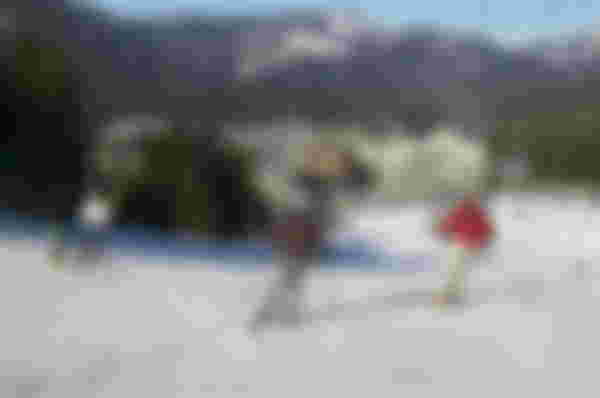 Whistler & Blackcomb Ski Lift Pass