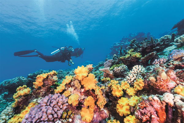 Islands of the Great Barrier Reef Holidays 2024/2025 | Trailfinders