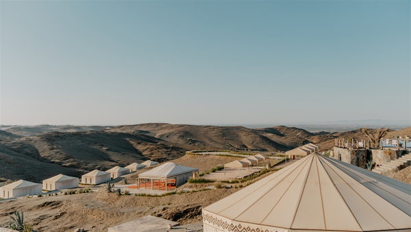The White Camel