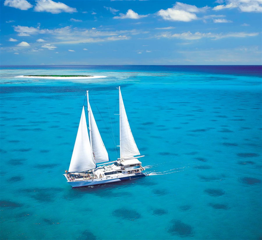 Michaelmas Cay Catamaran Cruise, Northern Great Barrier Reef