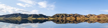Wild Mongolia