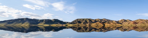Wild Mongolia
