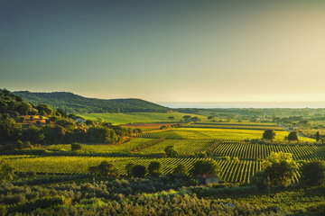 Villa destinations