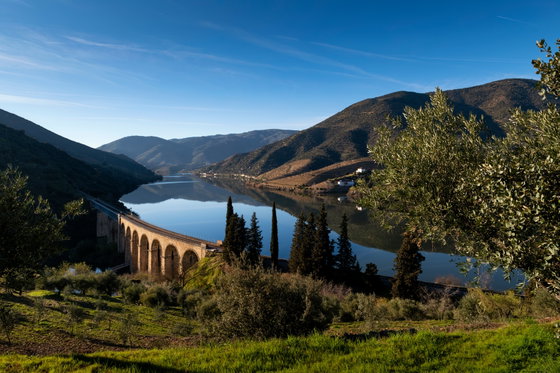 Douro Valley and the North
