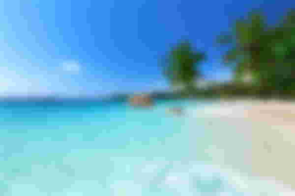 Seychelles Holidays 2025/2026 | Trailfinders