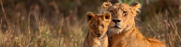 East Africa Highlights - Intrepid