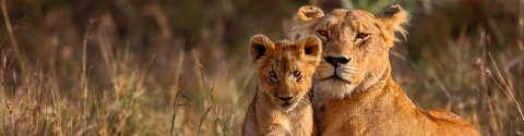 East Africa Highlights - Intrepid