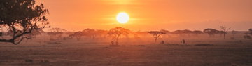 Gorillas & East Africa Safari