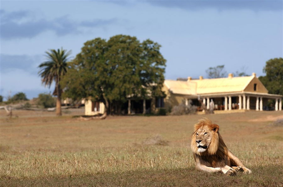 ADDO ELEPHANT NATIONAL PARK