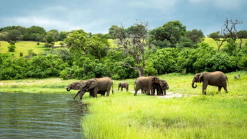 Zimbabwe & Botswana Safari: Victoria Falls & The Big Five