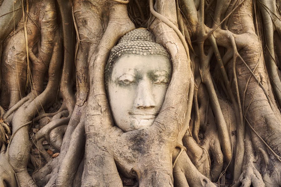 The temples at Ayutthaya, Thailand