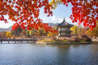 The Best Time to Visit South Korea