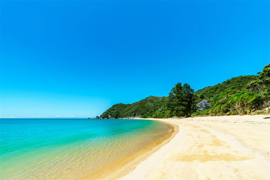 3. Walk Abel Tasman National Park