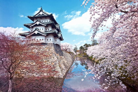 Northern Japan & Hokkaido Adventure