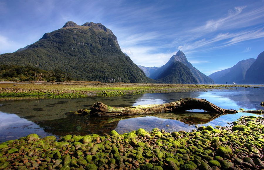 4. Hollyford Track 4 Day Package