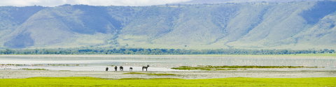 Kenya and Tanzania Family Safari