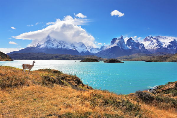 Chile Holidays 2025/2026 | Trailfinders