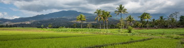 Timor-Leste Expedition