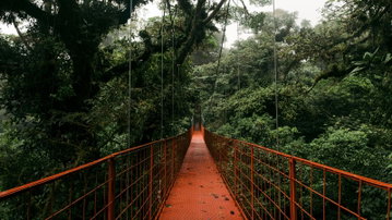 Signature: Costa Rica's Tortuguero, Arenal & Cloud Forests