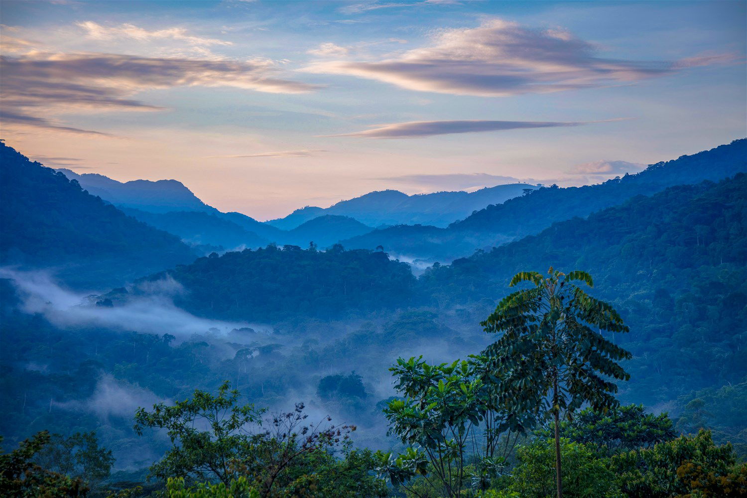 Uganda Holidays 2025/2026 | Trailfinders