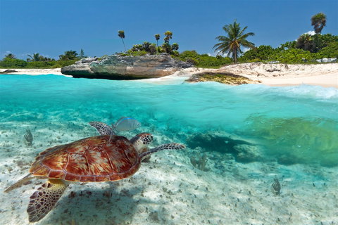 Caribbean & Mexico Escapes