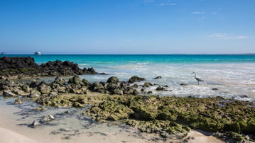 Galapagos Island Hopping