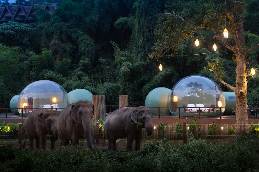 Jungle bubbles at the Anantara in Chiang Rai, Thailand