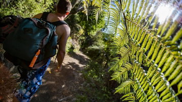 Australia And New Zealand: Bushwalks & Beaches