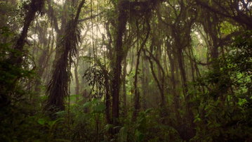 Journeys: Highlights of Costa Rica