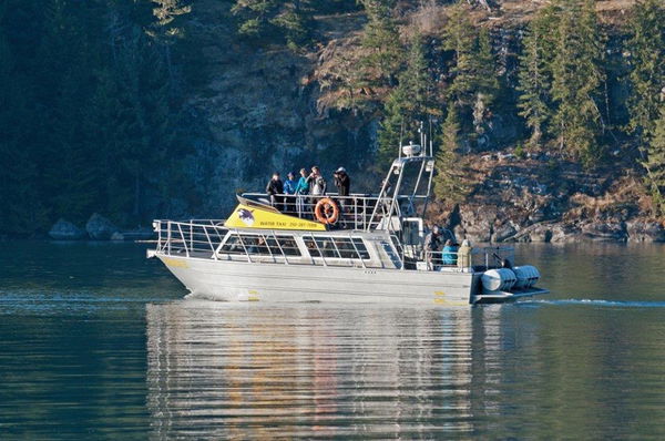 Seaqualizer Fish Descender in Canada - Tyee Marine Campbell River,  Vancouver Island, BC, Canada