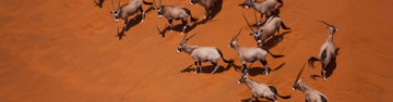 Southern Africa Adventure