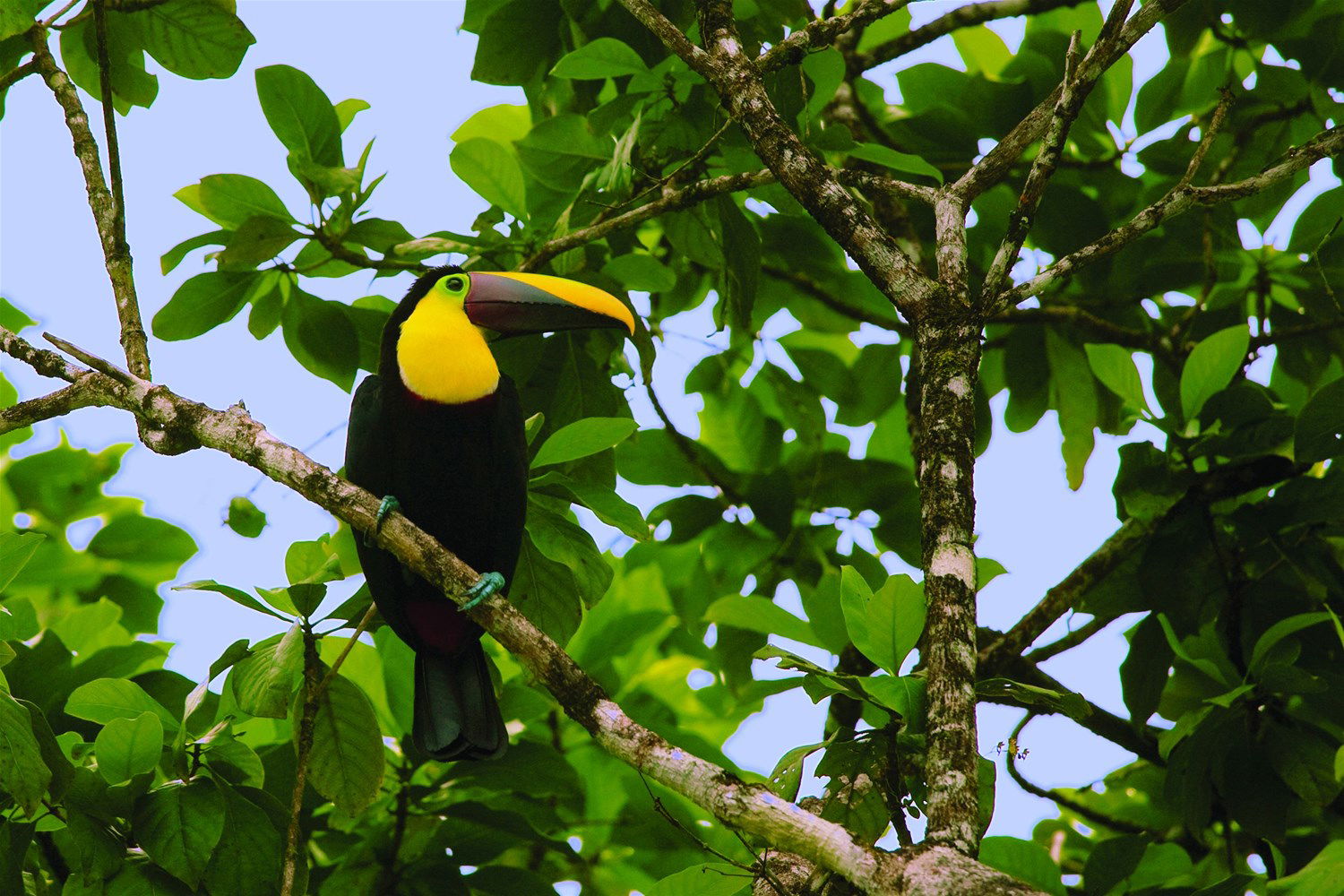 Classic Costa Rica - Intrepid Travel | Trailfinders