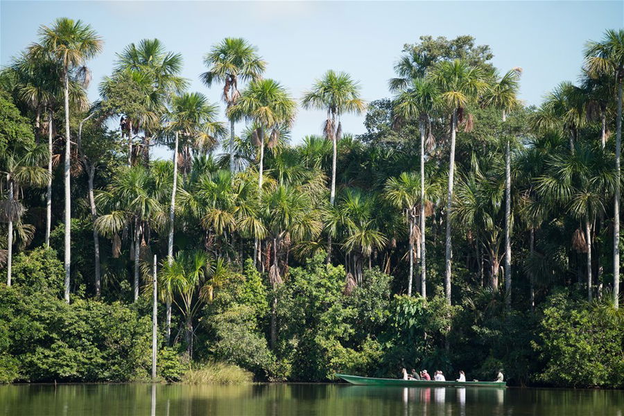 Inkaterra Reserva Amazonica, Peruvian Amazon, Peru